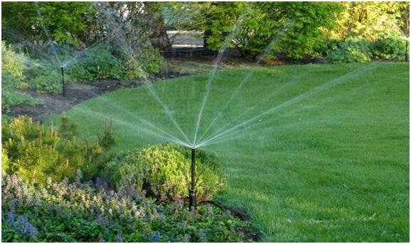 Efficient Irrigation Tips For Starting A Garden