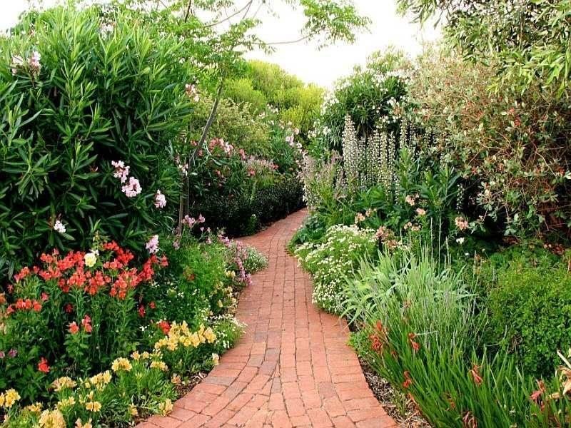 Spring Gardening Ideas: Things To Do In May
