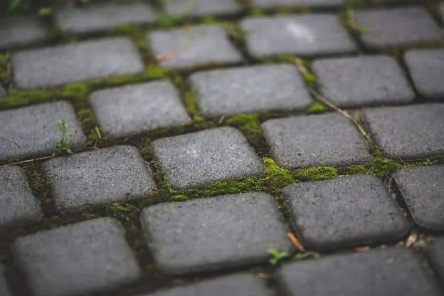 5 Features to Consider When Installing A Paver Patio