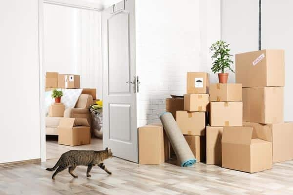 If It’s Your First Move, You Should Follow These Vital Moving Tips