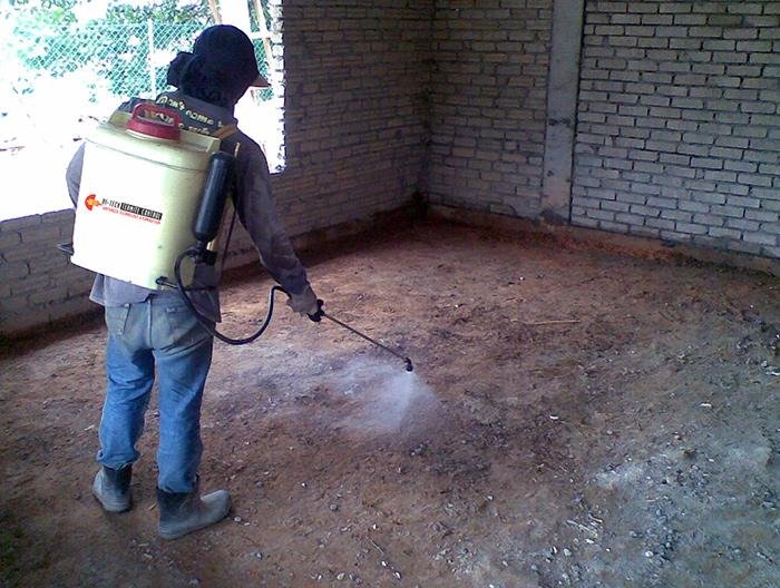 Pest Control Termites