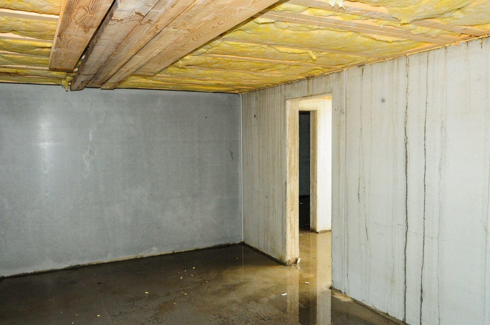 What to Do When Basement Starts Leaking?