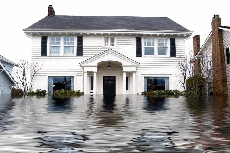 Reasons To Call The Best Water Damage Restoration Service Provider