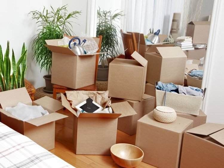 Tips for Hiring Removals Expert
