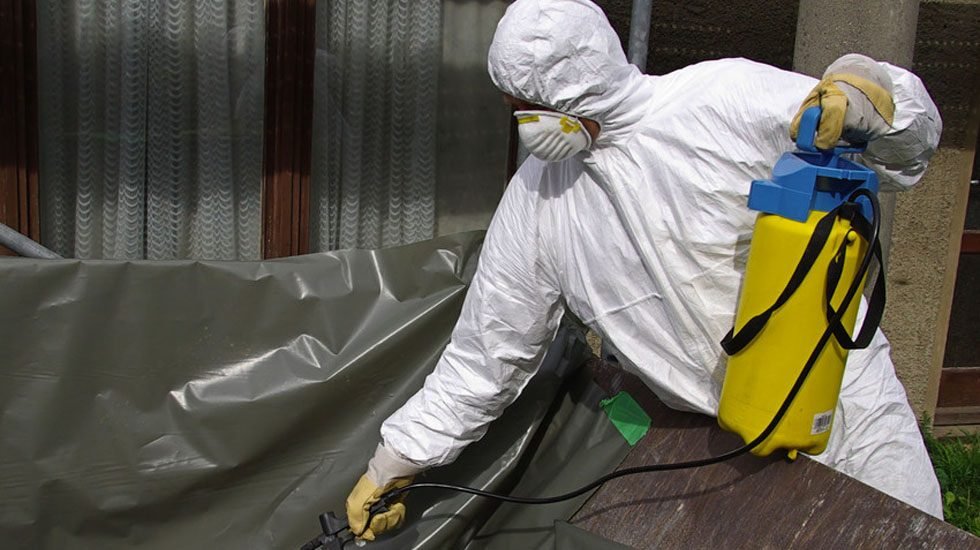 Everything You Need To Know About Asbestos Removal In Auckland 