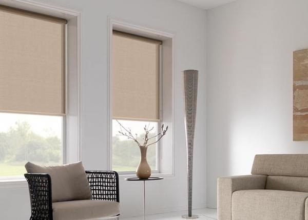 Which Should I Choose? Curtains or Blinds?