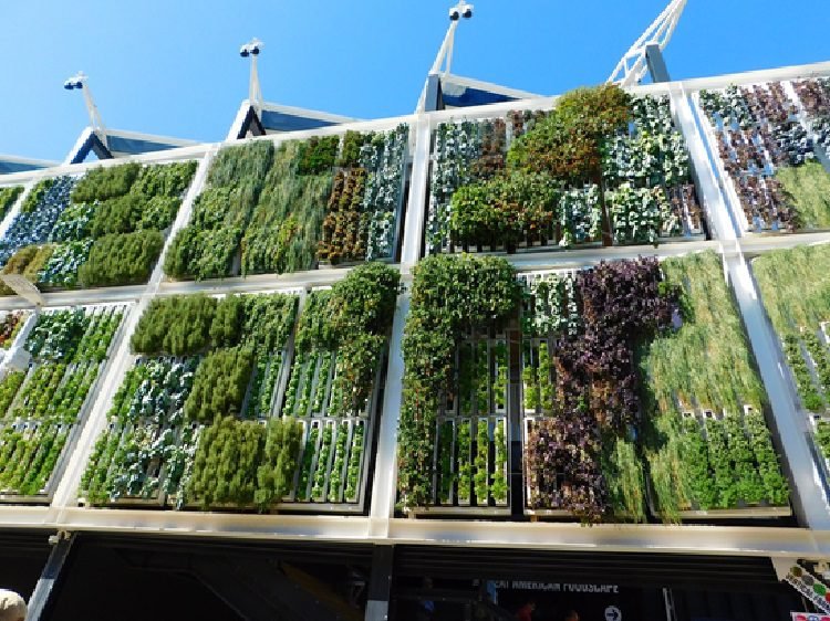 Creative Ways to Organize a Vertical Garden