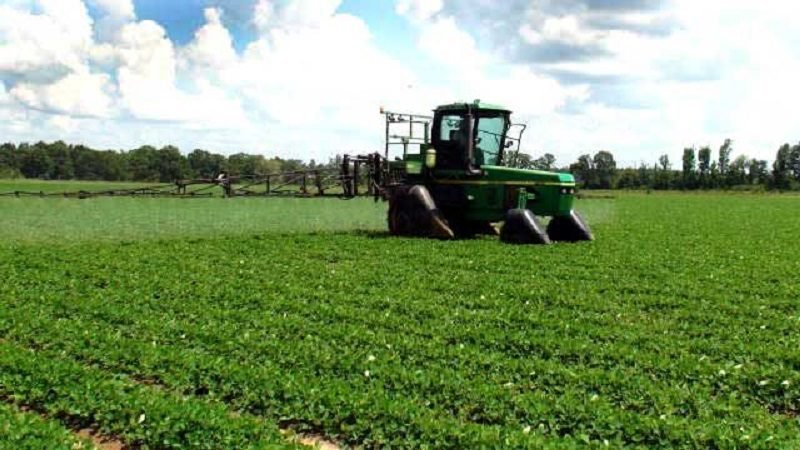 Effective herbicides for Texas weeds