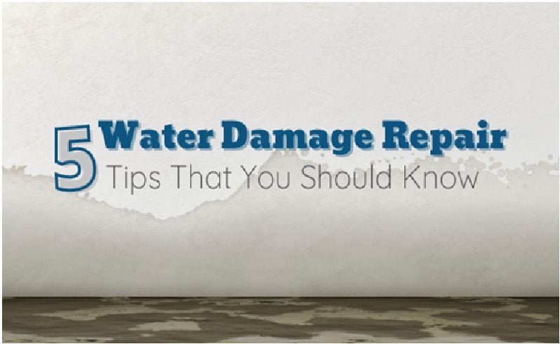 5 Water Damage Repair Tips That You Should Know 