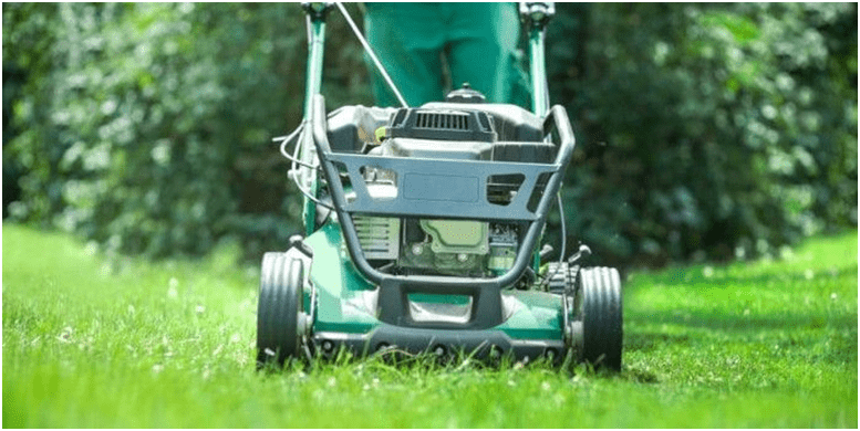 How To Properly Manage Your Lawn