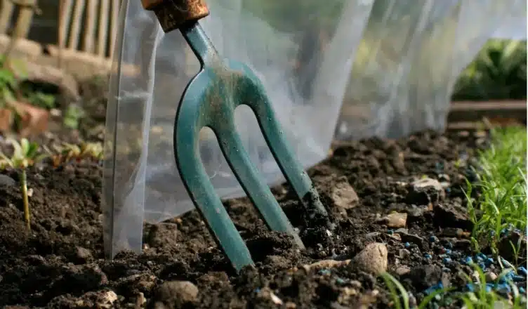 The 3 Best Ways To Extend Your Gardening Season - Creative Home Idea