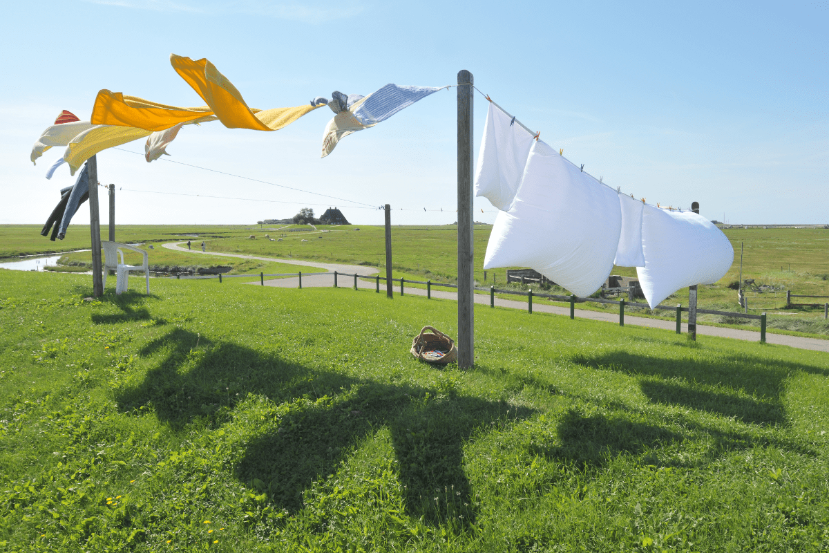 Sun-Dried and Wind-Whipped: How Clotheslines Can Benefit Your Household