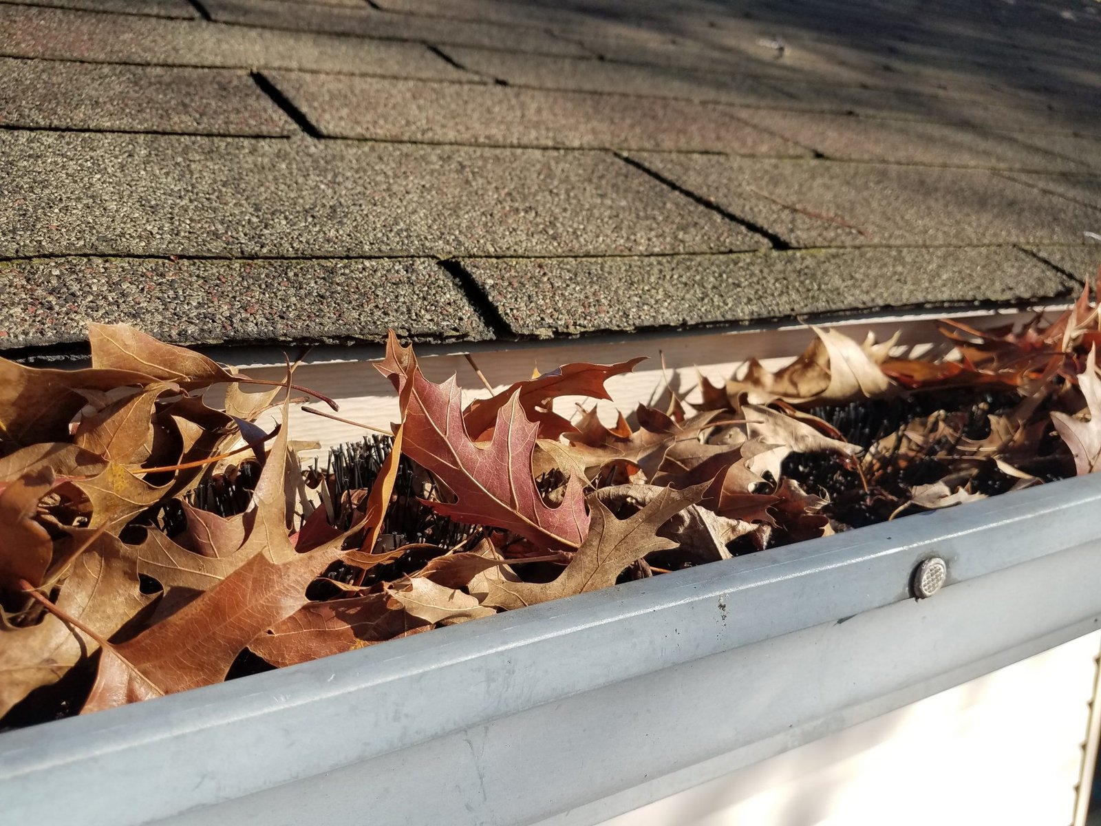 Autumn Leaves and Gutter Woes: Conquering Clogged Gutters with Gutter Guards