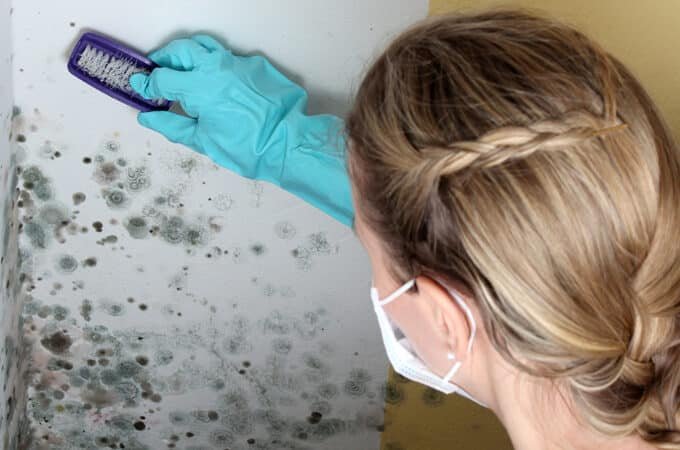From Chaos to Comfort: Transforming Your Home with Removal of Mold