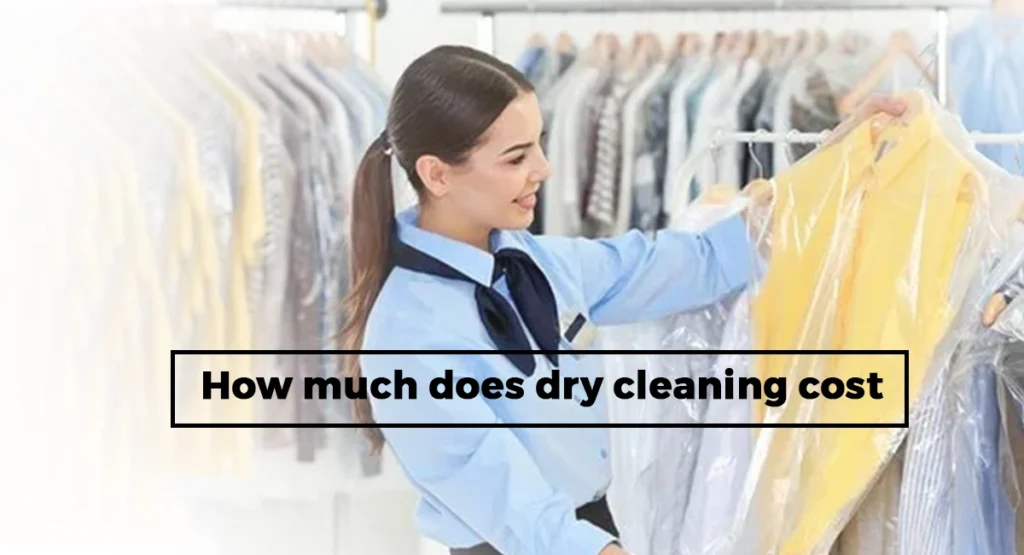 unveiling-the-price-of-pristine-how-much-does-dry-cleaning-cost