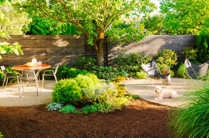 Creating a Safe Backyard for Your Dogs