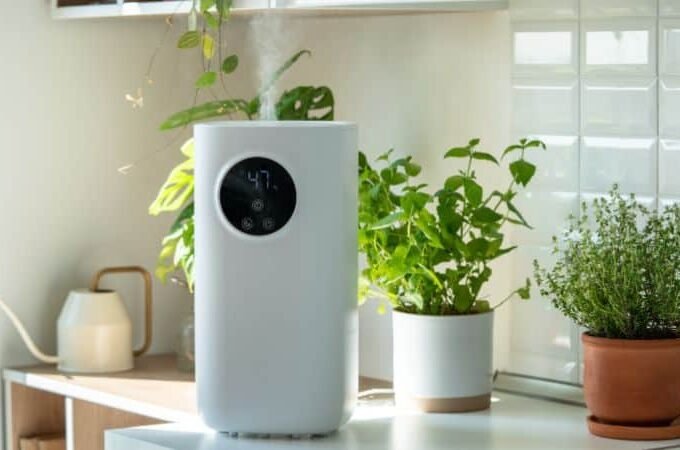 How Proper Indoor Humidity Can Create a Healthier Home Environment