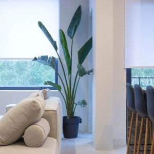 Protecting Furniture from Sun Damage