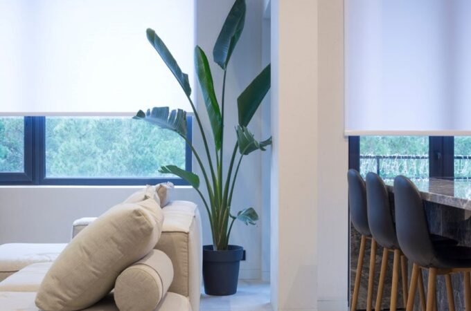 Protecting Furniture from Sun Damage