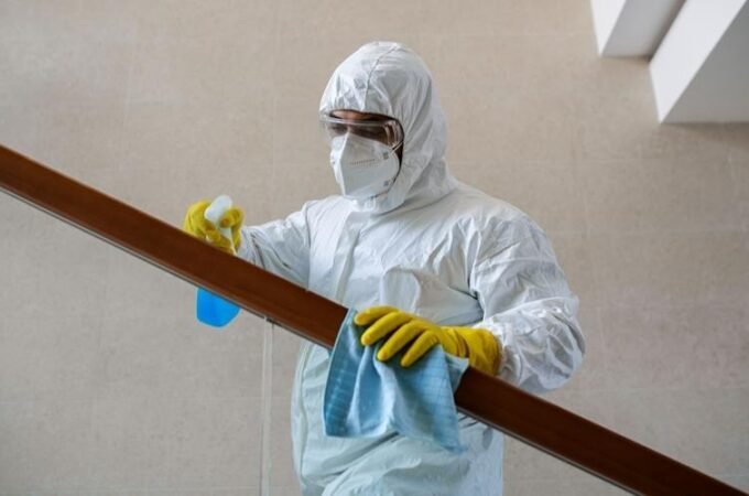 Pest Control in Singapore & Smart Termite Fixes