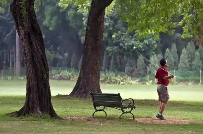 Important Details to Consider Before Visiting Public Gardens